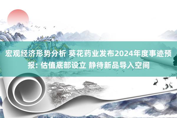 宏观经济形势分析 葵花药业发布2024年度事迹预报: 估值底部设立 静待新品导入空间