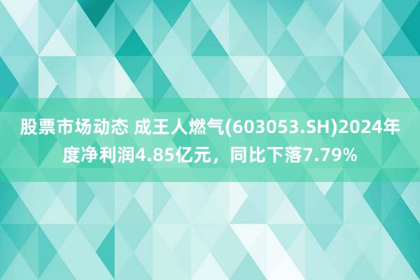 股票市场动态 成王人燃气(603053.SH)2024年度净利润4.85亿元，同比下落7.79%