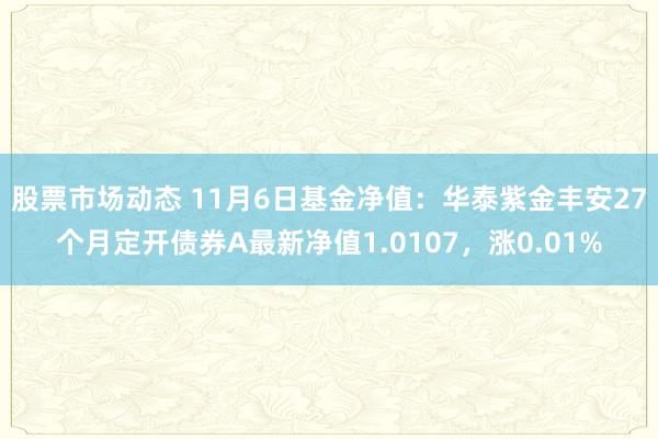 股票市场动态 11月6日基金净值：华泰紫金丰安27个月定开债券A最新净值1.0107，涨0.01%