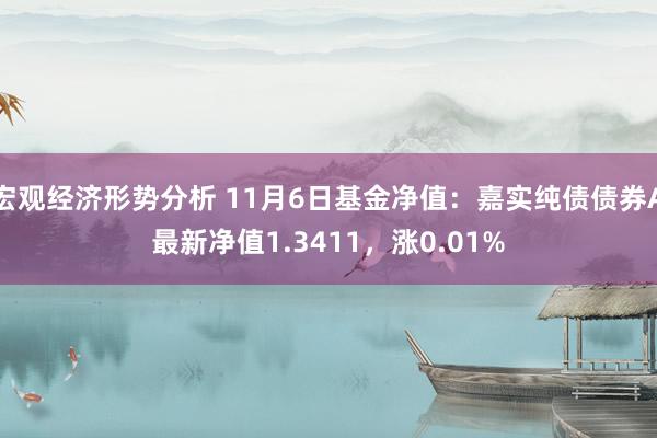 宏观经济形势分析 11月6日基金净值：嘉实纯债债券A最新净值1.3411，涨0.01%