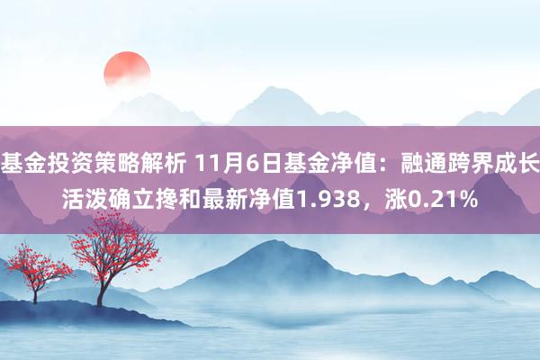 基金投资策略解析 11月6日基金净值：融通跨界成长活泼确立搀和最新净值1.938，涨0.21%