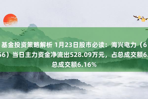 基金投资策略解析 1月23日股市必读：海兴电力（603556）当日主力资金净流出528.09万元，占总成交额6.16%