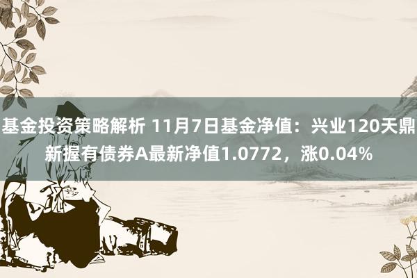 基金投资策略解析 11月7日基金净值：兴业120天鼎新握有债券A最新净值1.0772，涨0.04%