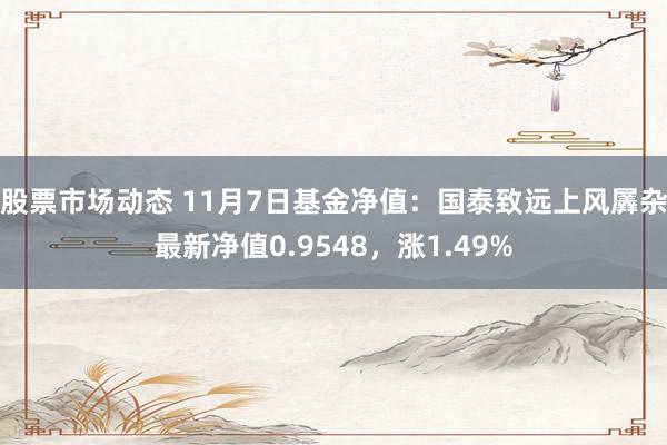 股票市场动态 11月7日基金净值：国泰致远上风羼杂最新净值0.9548，涨1.49%