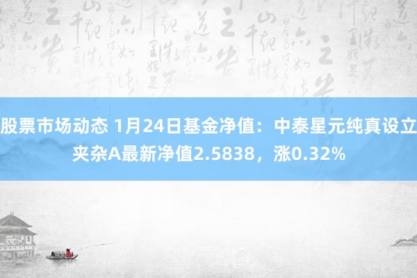 股票市场动态 1月24日基金净值：中泰星元纯真设立夹杂A最新净值2.5838，涨0.32%