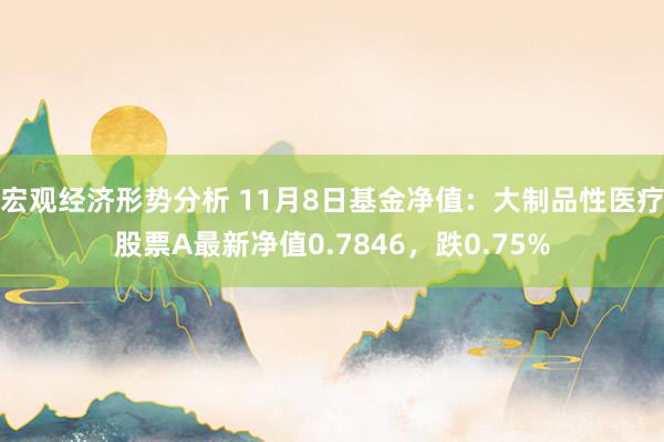 宏观经济形势分析 11月8日基金净值：大制品性医疗股票A最新净值0.7846，跌0.75%