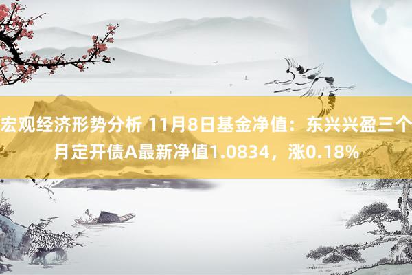 宏观经济形势分析 11月8日基金净值：东兴兴盈三个月定开债A最新净值1.0834，涨0.18%