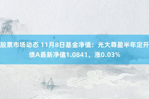 股票市场动态 11月8日基金净值：光大尊盈半年定开债A最新净值1.0841，涨0.03%