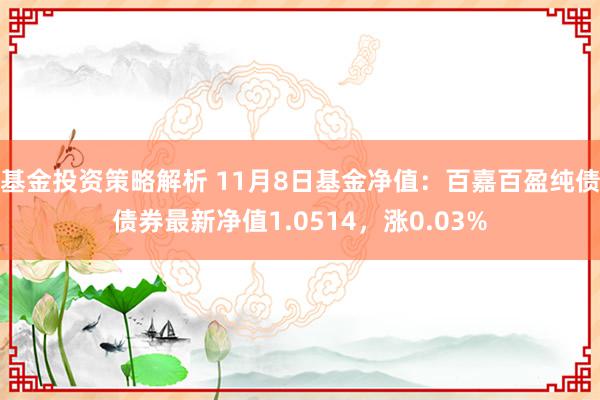 基金投资策略解析 11月8日基金净值：百嘉百盈纯债债券最新净值1.0514，涨0.03%