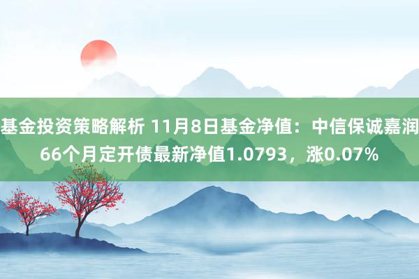 基金投资策略解析 11月8日基金净值：中信保诚嘉润66个月定开债最新净值1.0793，涨0.07%