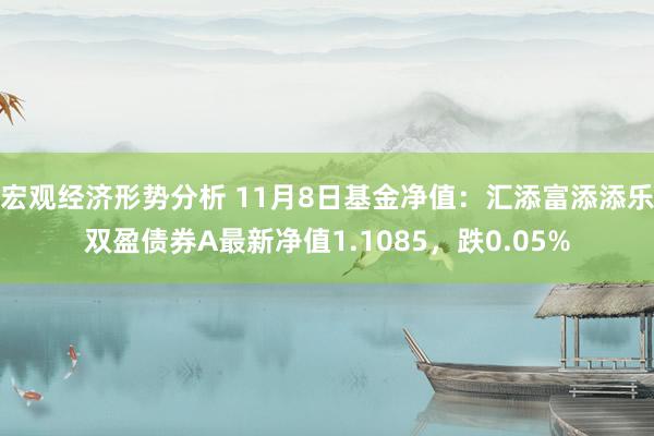 宏观经济形势分析 11月8日基金净值：汇添富添添乐双盈债券A最新净值1.1085，跌0.05%