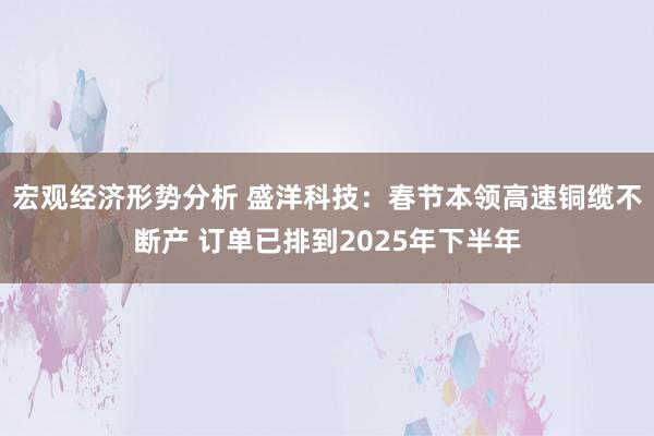 宏观经济形势分析 盛洋科技：春节本领高速铜缆不断产 订单已排到2025年下半年