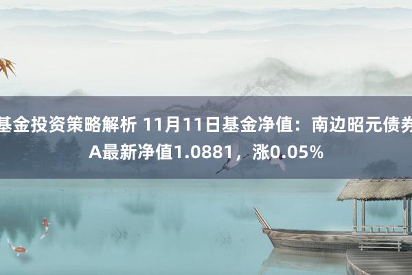 基金投资策略解析 11月11日基金净值：南边昭元债券A最新净值1.0881，涨0.05%