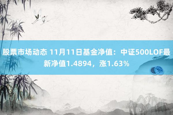 股票市场动态 11月11日基金净值：中证500LOF最新净值1.4894，涨1.63%