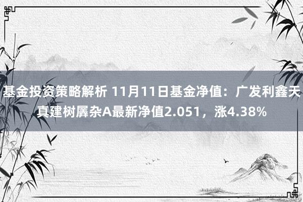 基金投资策略解析 11月11日基金净值：广发利鑫天真建树羼杂A最新净值2.051，涨4.38%