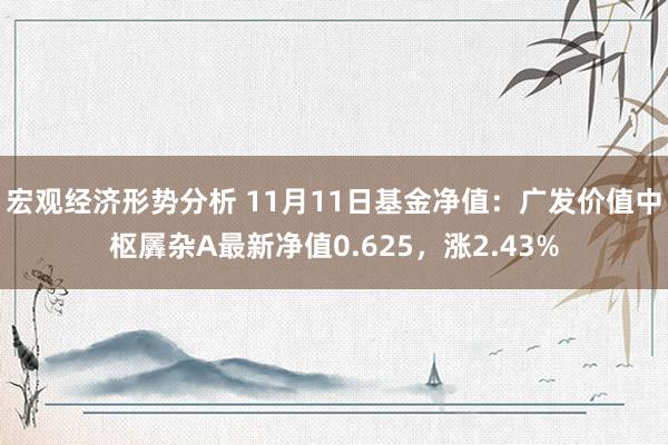 宏观经济形势分析 11月11日基金净值：广发价值中枢羼杂A最新净值0.625，涨2.43%