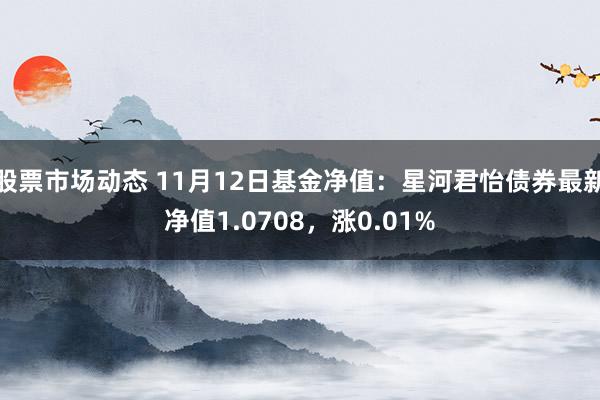 股票市场动态 11月12日基金净值：星河君怡债券最新净值1.0708，涨0.01%