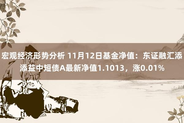 宏观经济形势分析 11月12日基金净值：东证融汇添添益中短债A最新净值1.1013，涨0.01%