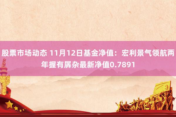 股票市场动态 11月12日基金净值：宏利景气领航两年握有羼杂最新净值0.7891