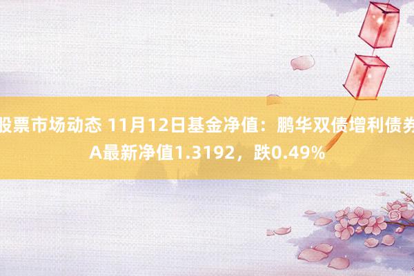 股票市场动态 11月12日基金净值：鹏华双债增利债券A最新净值1.3192，跌0.49%