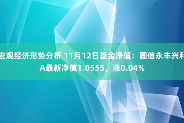 宏观经济形势分析 11月12日基金净值：圆信永丰兴利A最新净值1.0555，涨0.04%