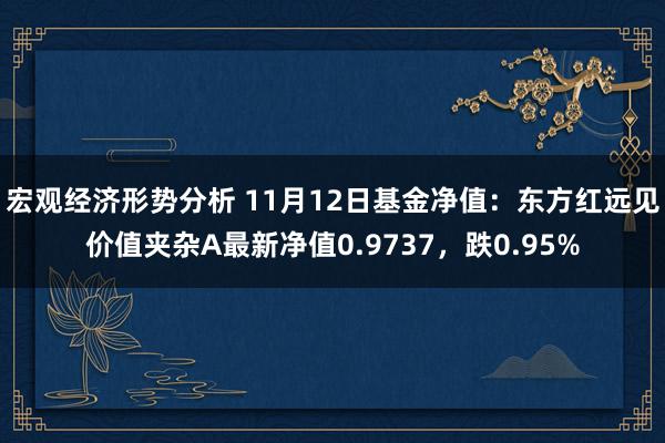 宏观经济形势分析 11月12日基金净值：东方红远见价值夹杂A最新净值0.9737，跌0.95%