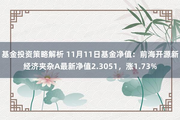 基金投资策略解析 11月11日基金净值：前海开源新经济夹杂A最新净值2.3051，涨1.73%