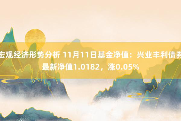 宏观经济形势分析 11月11日基金净值：兴业丰利债券最新净值1.0182，涨0.05%