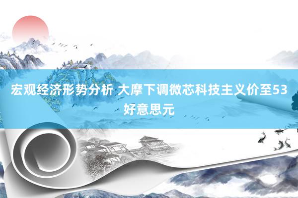 宏观经济形势分析 大摩下调微芯科技主义价至53好意思元