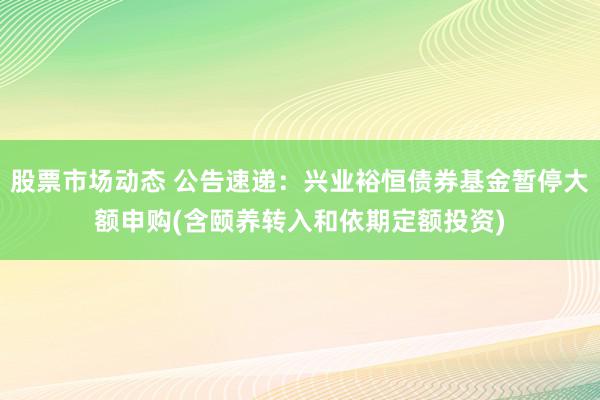 股票市场动态 公告速递：兴业裕恒债券基金暂停大额申购(含颐养转入和依期定额投资)