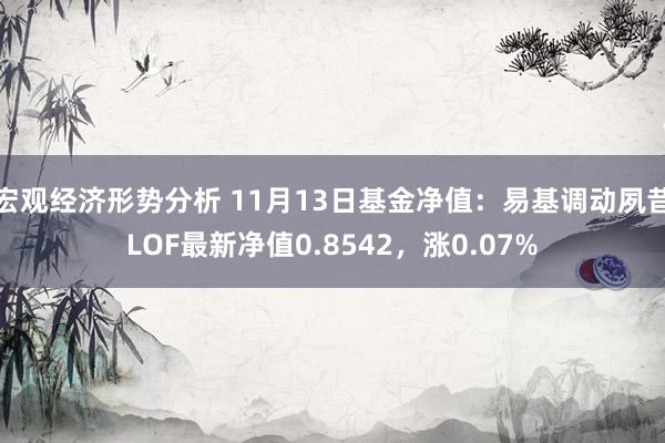 宏观经济形势分析 11月13日基金净值：易基调动夙昔LOF最新净值0.8542，涨0.07%