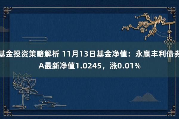 基金投资策略解析 11月13日基金净值：永赢丰利债券A最新净值1.0245，涨0.01%