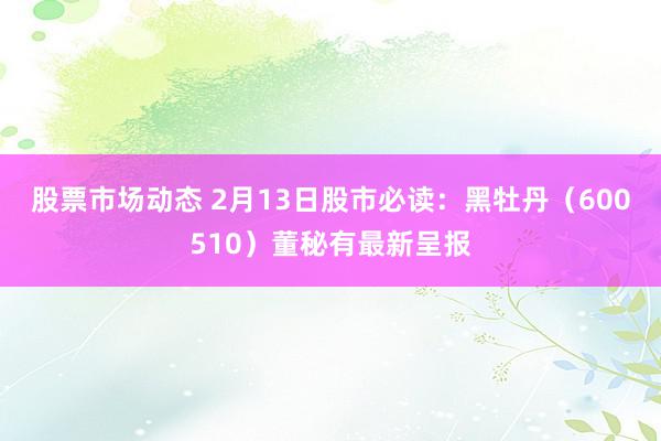 股票市场动态 2月13日股市必读：黑牡丹（600510）董秘有最新呈报