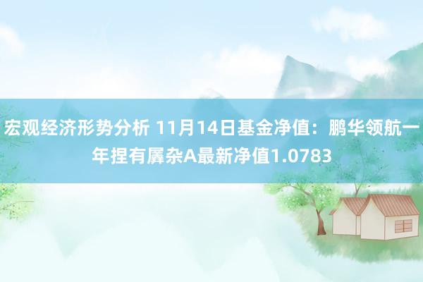 宏观经济形势分析 11月14日基金净值：鹏华领航一年捏有羼杂A最新净值1.0783