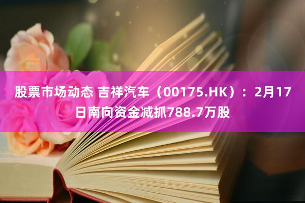 股票市场动态 吉祥汽车（00175.HK）：2月17日南向资金减抓788.7万股