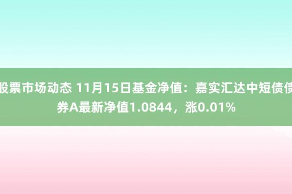 股票市场动态 11月15日基金净值：嘉实汇达中短债债券A最新净值1.0844，涨0.01%