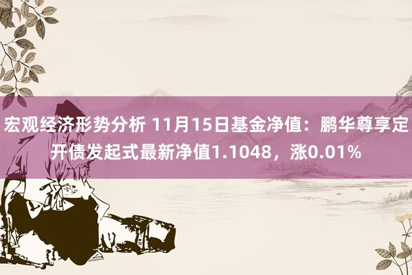 宏观经济形势分析 11月15日基金净值：鹏华尊享定开债发起式最新净值1.1048，涨0.01%