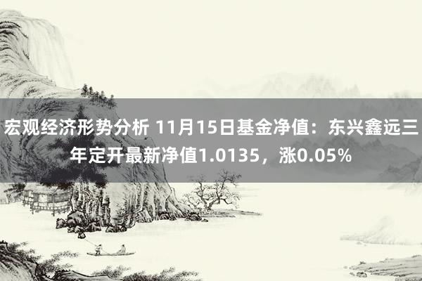 宏观经济形势分析 11月15日基金净值：东兴鑫远三年定开最新净值1.0135，涨0.05%