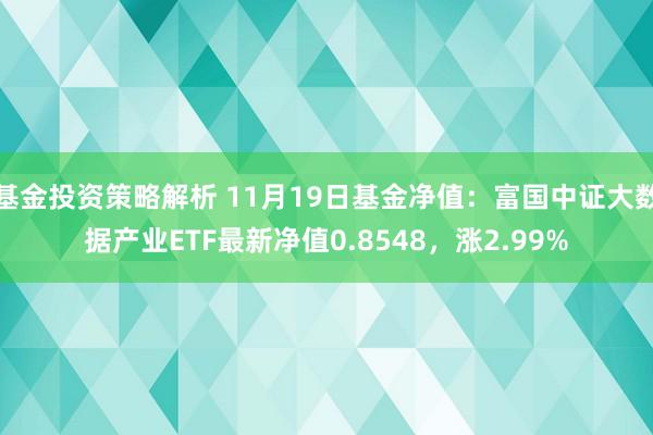 基金投资策略解析 11月19日基金净值：富国中证大数据产业ETF最新净值0.8548，涨2.99%