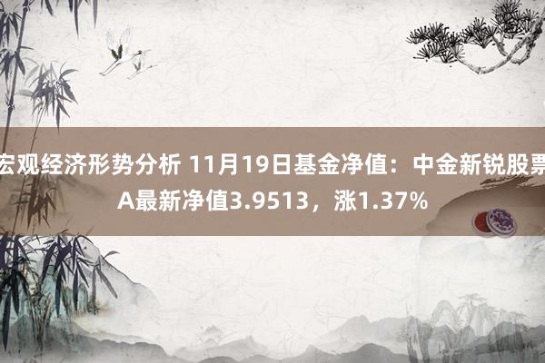 宏观经济形势分析 11月19日基金净值：中金新锐股票A最新净值3.9513，涨1.37%