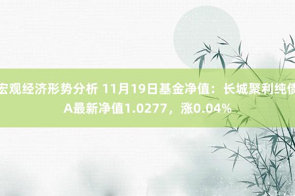 宏观经济形势分析 11月19日基金净值：长城聚利纯债A最新净值1.0277，涨0.04%