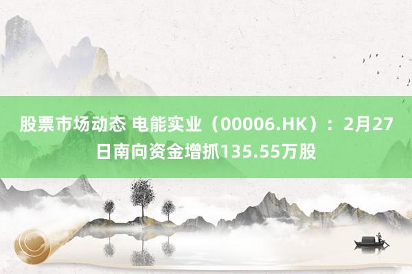 股票市场动态 电能实业（00006.HK）：2月27日南向资金增抓135.55万股