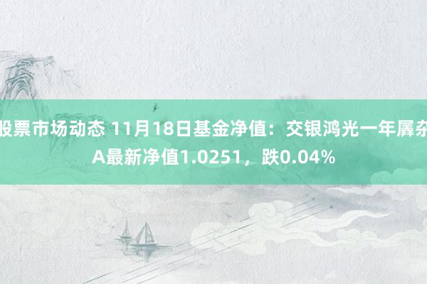 股票市场动态 11月18日基金净值：交银鸿光一年羼杂A最新净值1.0251，跌0.04%