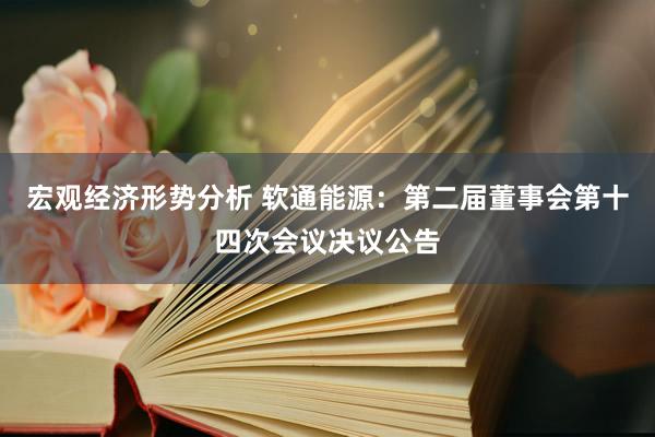 宏观经济形势分析 软通能源：第二届董事会第十四次会议决议公告