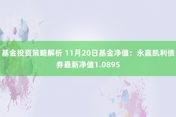 基金投资策略解析 11月20日基金净值：永赢凯利债券最新净值1.0895