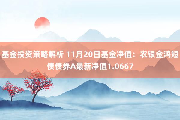 基金投资策略解析 11月20日基金净值：农银金鸿短债债券A最新净值1.0667