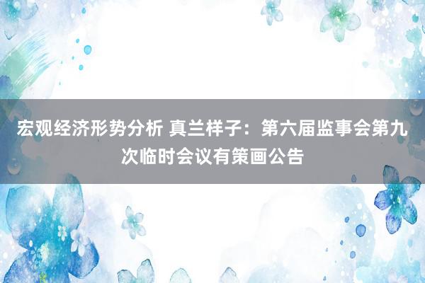 宏观经济形势分析 真兰样子：第六届监事会第九次临时会议有策画公告