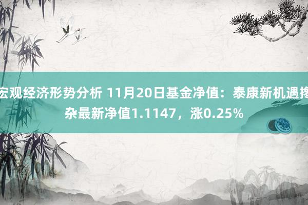 宏观经济形势分析 11月20日基金净值：泰康新机遇搀杂最新净值1.1147，涨0.25%