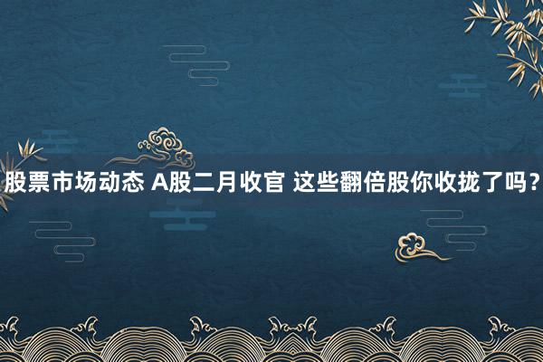 股票市场动态 A股二月收官 这些翻倍股你收拢了吗？