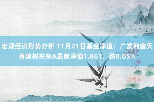 宏观经济形势分析 11月21日基金净值：广发利鑫天真建树夹杂A最新净值1.861，跌0.05%